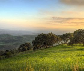 Stock Photo Vibrant green pastoral scenery 06