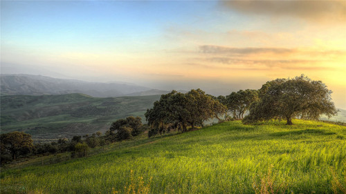 Stock Photo Vibrant green pastoral scenery 06