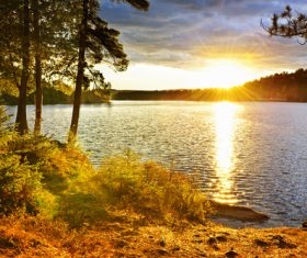 Stock Photo Woods lake nature landscape 03