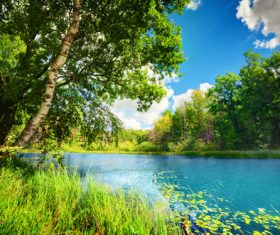 Stock Photo Woods lake nature landscape 05