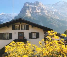 Switzerlands beautiful town Grindelwald Stock Photo 03