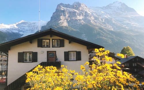 Switzerlands beautiful town Grindelwald Stock Photo 03