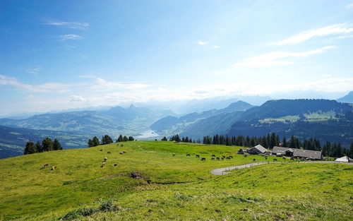 Switzerlands beautiful town Grindelwald Stock Photo 08