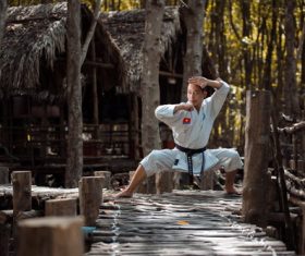 Taekwondo Kung Fu Pose Stock Photo