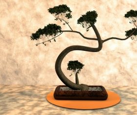 Various good looking bonsai Stock Photo 13