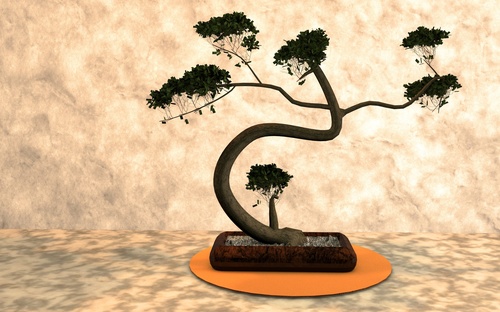 Various good looking bonsai Stock Photo 13