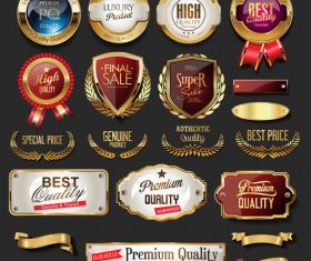 Vintage retro premium quality golden badges and labels vector 02