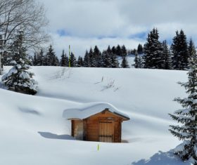 White winter snow landscape and building Stock Photo 02