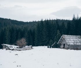White winter snow landscape and building Stock Photo 05