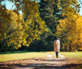 Woman Walking in a Park in Autumn Stock Photo