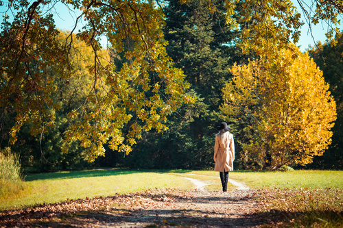 Woman Walking in a Park in Autumn Stock Photo