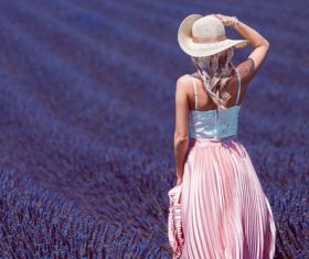 Woman in Lavender Field Stock Photo