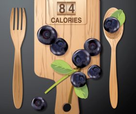 blueberries calories vector