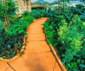 greenhouse Stock Photo 01