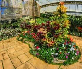 greenhouse Stock Photo 02