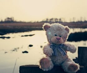 plush teddy bear Stock Photo 02