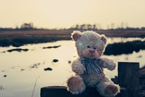 plush teddy bear Stock Photo 02