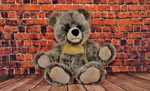 plush teddy bear Stock Photo 04