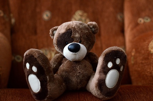 plush teddy bear Stock Photo 06