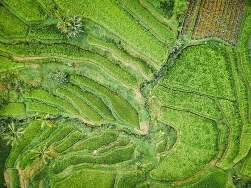Aerial photography green rural scenery Stock Photo