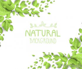Backdrop with green leaves vector