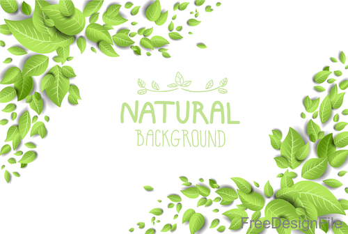 Backdrop with green leaves vector