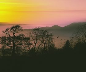 Beautiful landscape Stock Photo 05