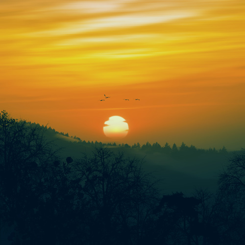 Beautiful scenery at sunrise Stock Photo