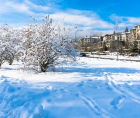 Beautiful snow scene in winter city Stock Photo
