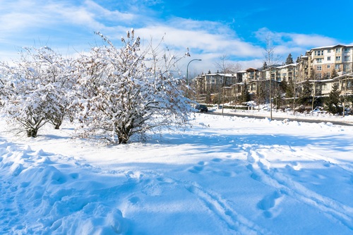 Beautiful snow scene in winter city Stock Photo
