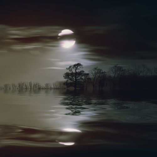 Black picture reflection of moon and trees in the water Stock Photo