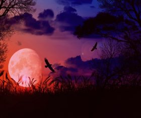 Bright round moon with dark clouds and flying crows Stock Photo