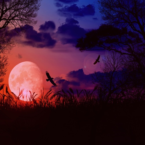 Bright round moon with dark clouds and flying crows Stock Photo