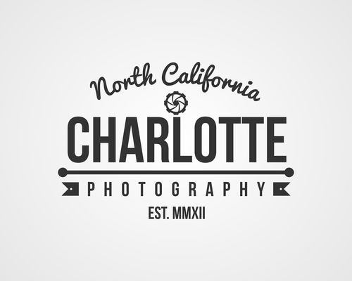 Charlotte photography Label design vector 03