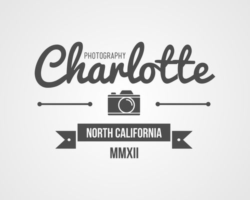 Charlotte photography Label design vector 04