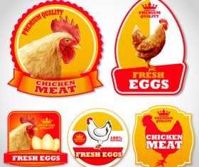 Chicken eggs labels stickers vector