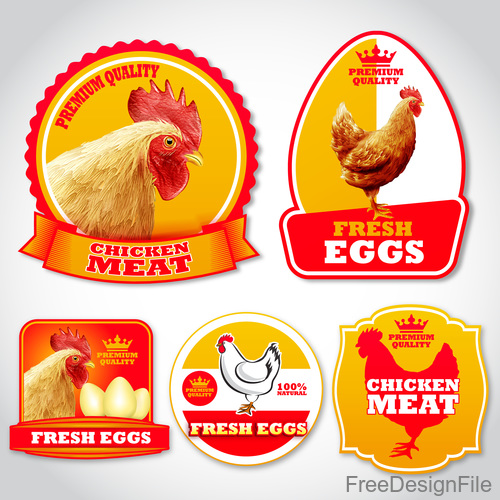 Chicken eggs labels stickers vector
