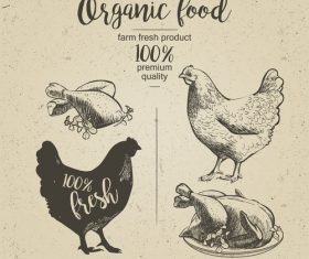 Chicken meat poster vintage design vector
