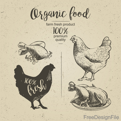 Chicken meat poster vintage design vector