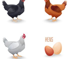 Chicken with egg illustration vectors