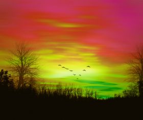 Colorful sky and a flock of flying birds Stock Photo