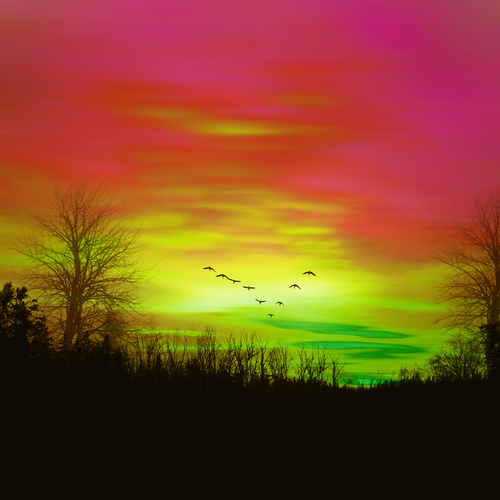 Colorful sky and a flock of flying birds Stock Photo