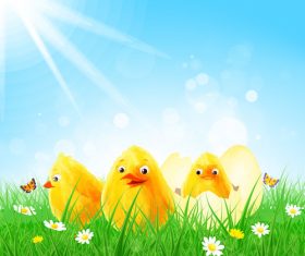Cute chick with green grass and sunlight vector