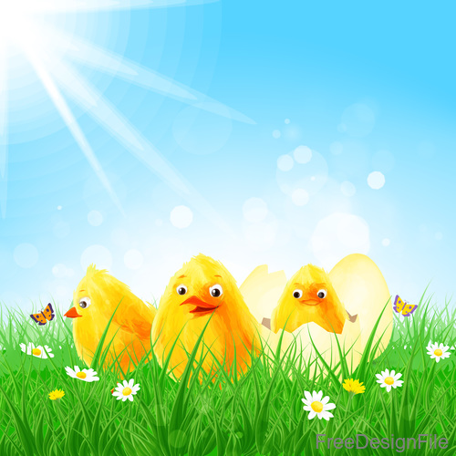Cute chick with green grass and sunlight vector