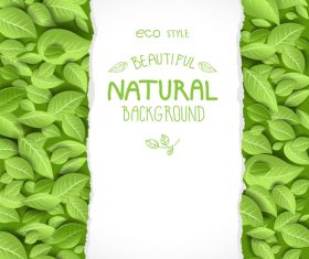 Eco style background with leaves