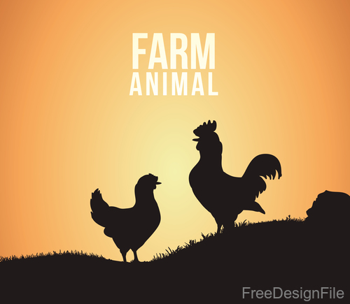 Farm chicken illustration vector