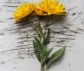 Flat lay yellow flowers on the desktop Stock Photo