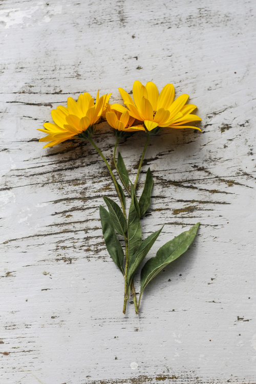 Flat lay yellow flowers on the desktop Stock Photo