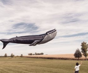 Floating Whale Kite Stock Photo
