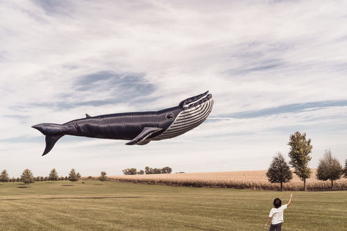 Floating Whale Kite Stock Photo